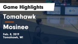 Tomahawk  vs Mosinee  Game Highlights - Feb. 8, 2019