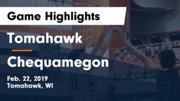 Tomahawk  vs Chequamegon Game Highlights - Feb. 22, 2019