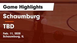 Schaumburg  vs TBD Game Highlights - Feb. 11, 2020