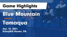 Blue Mountain  vs Tamaqua  Game Highlights - Jan. 15, 2021