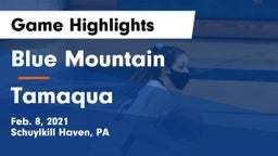 Blue Mountain  vs Tamaqua  Game Highlights - Feb. 8, 2021