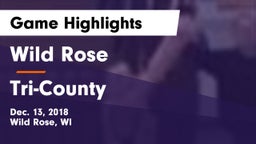 Wild Rose  vs Tri-County  Game Highlights - Dec. 13, 2018