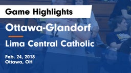 Ottawa-Glandorf  vs Lima Central Catholic  Game Highlights - Feb. 24, 2018