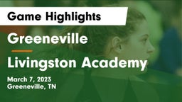 Greeneville  vs Livingston Academy Game Highlights - March 7, 2023