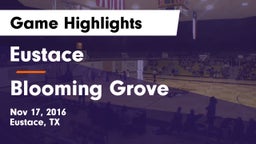 Eustace  vs Blooming Grove  Game Highlights - Nov 17, 2016