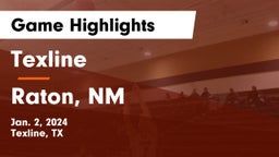 Texline  vs Raton, NM Game Highlights - Jan. 2, 2024