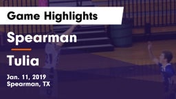 Spearman  vs Tulia  Game Highlights - Jan. 11, 2019