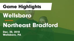 Wellsboro  vs Northeast Bradford Game Highlights - Dec. 20, 2018