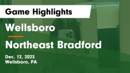 Wellsboro  vs Northeast Bradford  Game Highlights - Dec. 12, 2023