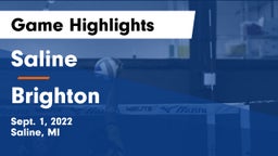 Saline  vs Brighton  Game Highlights - Sept. 1, 2022