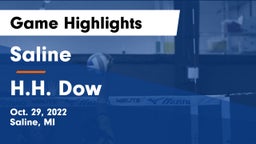 Saline  vs H.H. Dow  Game Highlights - Oct. 29, 2022