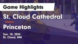 St. Cloud Cathedral  vs Princeton  Game Highlights - Jan. 18, 2024