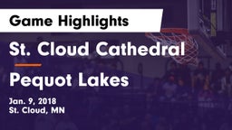 St. Cloud Cathedral  vs Pequot Lakes  Game Highlights - Jan. 9, 2018