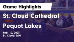 St. Cloud Cathedral  vs Pequot Lakes  Game Highlights - Feb. 10, 2023