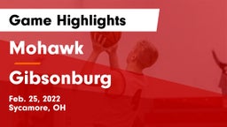 Mohawk  vs Gibsonburg  Game Highlights - Feb. 25, 2022