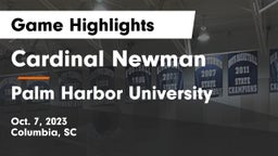 Cardinal Newman  vs Palm Harbor University  Game Highlights - Oct. 7, 2023