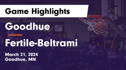 Goodhue  vs Fertile-Beltrami  Game Highlights - March 21, 2024
