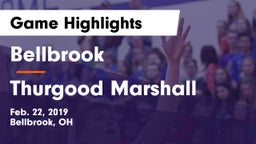 Bellbrook  vs Thurgood Marshall Game Highlights - Feb. 22, 2019