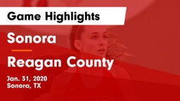 Sonora  vs Reagan County  Game Highlights - Jan. 31, 2020