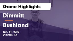 Dimmitt  vs Bushland  Game Highlights - Jan. 31, 2020