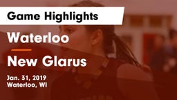 Waterloo  vs New Glarus Game Highlights - Jan. 31, 2019