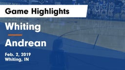 Whiting  vs Andrean  Game Highlights - Feb. 2, 2019