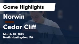Norwin  vs Cedar Cliff  Game Highlights - March 20, 2023