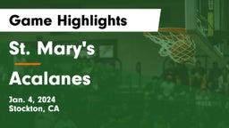 St. Mary's  vs Acalanes  Game Highlights - Jan. 4, 2024