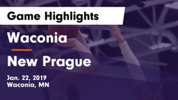 Waconia  vs New Prague  Game Highlights - Jan. 22, 2019