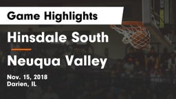 Hinsdale South  vs Neuqua Valley  Game Highlights - Nov. 15, 2018