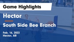 Hector  vs South Side Bee Branch Game Highlights - Feb. 16, 2022