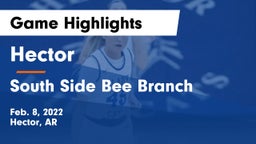 Hector  vs South Side Bee Branch Game Highlights - Feb. 8, 2022