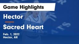 Hector  vs Sacred Heart Game Highlights - Feb. 1, 2022