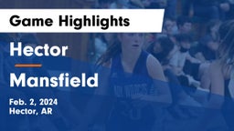 Hector  vs Mansfield  Game Highlights - Feb. 2, 2024