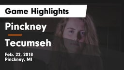 Pinckney  vs Tecumseh  Game Highlights - Feb. 22, 2018