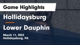 Hollidaysburg  vs Lower Dauphin  Game Highlights - March 11, 2023
