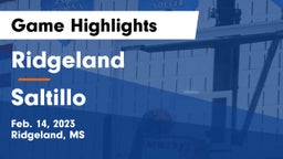 Ridgeland  vs Saltillo  Game Highlights - Feb. 14, 2023