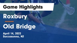 Roxbury  vs Old Bridge  Game Highlights - April 14, 2022