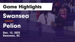 Swansea  vs Pelion  Game Highlights - Dec. 12, 2023