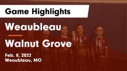 Weaubleau  vs Walnut Grove  Game Highlights - Feb. 8, 2022