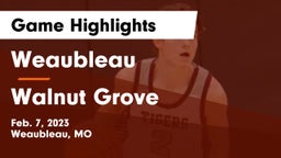 Weaubleau  vs Walnut Grove  Game Highlights - Feb. 7, 2023