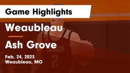 Weaubleau  vs Ash Grove  Game Highlights - Feb. 24, 2023