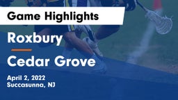 Roxbury  vs Cedar Grove  Game Highlights - April 2, 2022