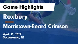 Roxbury  vs Morristown-Beard Crimson Game Highlights - April 13, 2022