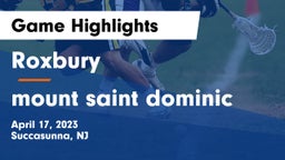 Roxbury  vs mount saint dominic Game Highlights - April 17, 2023