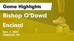 Bishop O'Dowd  vs Encinal  Game Highlights - Dec. 7, 2023