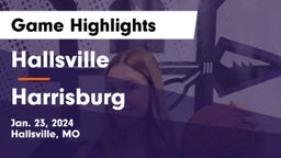 Hallsville  vs Harrisburg  Game Highlights - Jan. 23, 2024