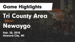 Tri County Area  vs Newaygo  Game Highlights - Feb. 20, 2018