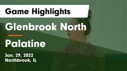 Glenbrook North  vs Palatine  Game Highlights - Jan. 29, 2022