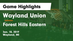 Wayland Union  vs Forest Hills Eastern  Game Highlights - Jan. 18, 2019